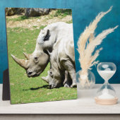 Zwei weiße Rhinozeros im Gras Fotoplatte (Seite)