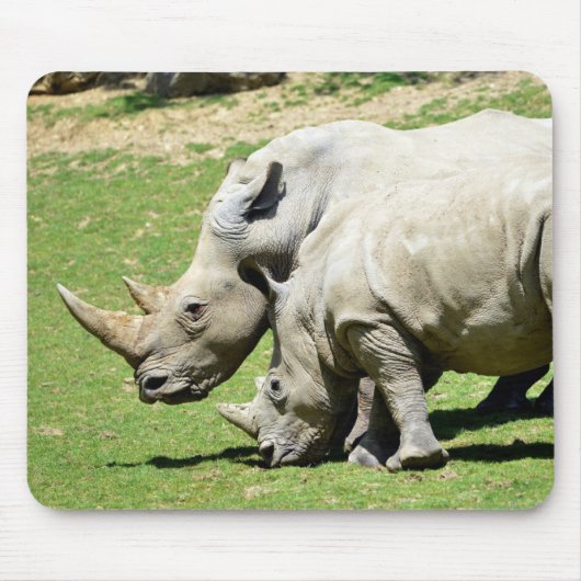 Zwei weiße Rhinozeros im Gras Mousepad (Vorne)