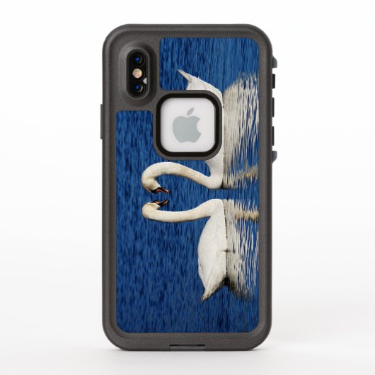 Zwei weiße Schwäne bilden das Herz-Zeichen (Rückseite)