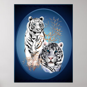 Zwei weiße Tiger Oval Poster