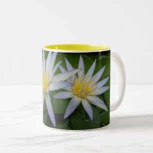 Zwei weiße Wasserlilien Tasse