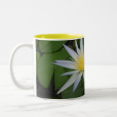 Zwei weiße Wasserlilien Tasse (Links)