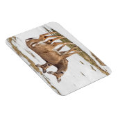 Zwei Weißschwänze Magnet (Rechte Seite)