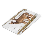 Zwei Weißschwänze Magnet (Linke Seite)