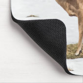 Zwei Weißschwänze Mousepad (Ecke)
