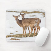 Zwei Weißschwänze Mousepad (Mit Mouse)