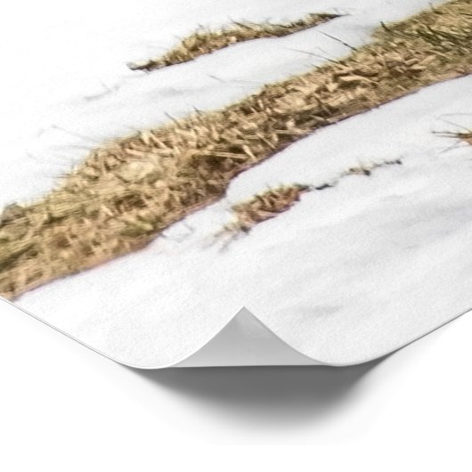 Zwei Weißschwänze Poster (Ecke)