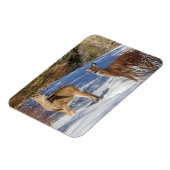 Zwei Weißschwänzer im Winter Magnet (Linke Seite)