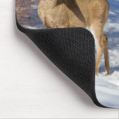 Zwei Weißschwänzer im Winter Mousepad (Ecke)