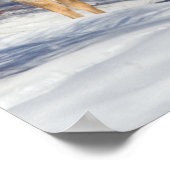 Zwei Weißschwänzer im Winter Poster (Ecke)