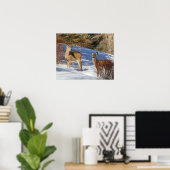 Zwei Weißschwänzer im Winter Poster (Heimbüro)