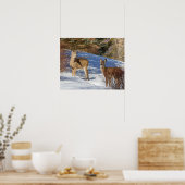 Zwei Weißschwänzer im Winter Poster (Küche)