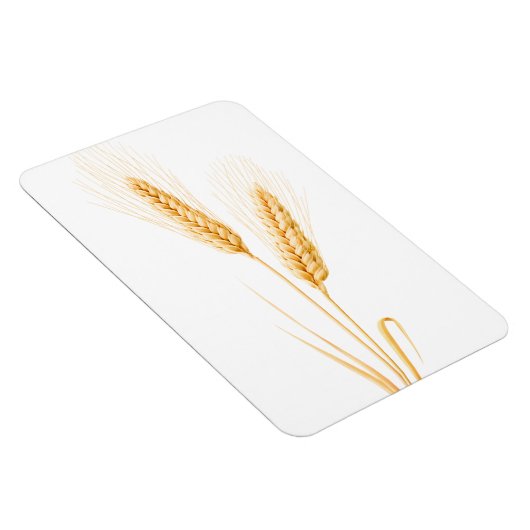 Zwei Weizenohren Magnet (Rechte Seite)