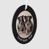 Zwei Welpen Bostons Terrier Ornament (Vorderseite)