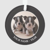 Zwei Welpen Bostons Terrier Ornament (Rückseite)