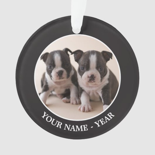 Zwei Welpen Bostons Terrier Ornament (Vorderseite)