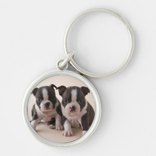 Zwei Welpen Bostons Terrier Schlüsselanhänger (Vorne)