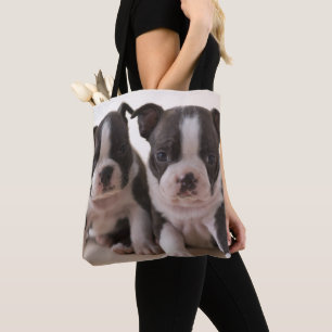Zwei Welpen Bostons Terrier Tasche