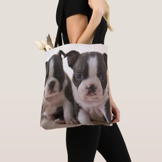 Zwei Welpen Bostons Terrier Tasche (Von Nahem)