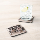 Zwei Welpen Bostons Terrier Untersetzer (Rechte Seite)