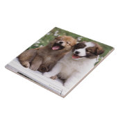 Zwei Welpen, die zusammen sitzen Fliese (Seite)