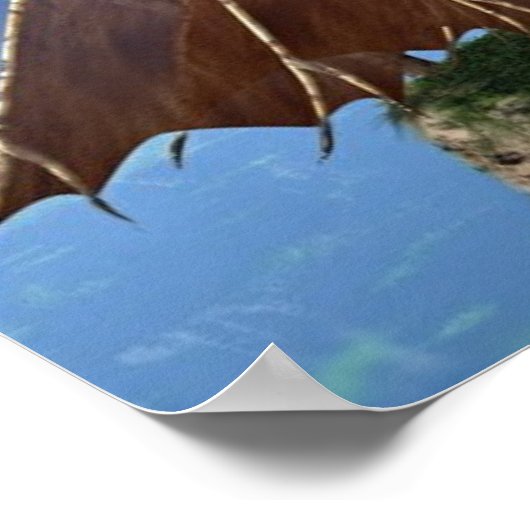 Zwei Welten Poster (Ecke)