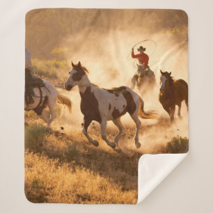 Zwei Western Cowboys reiten Pferde und springen wi Sherpadecke