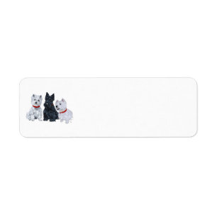 Zwei Westies und ein Scottie