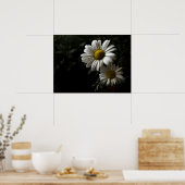 Zwei White Daisies Poster (Küche)