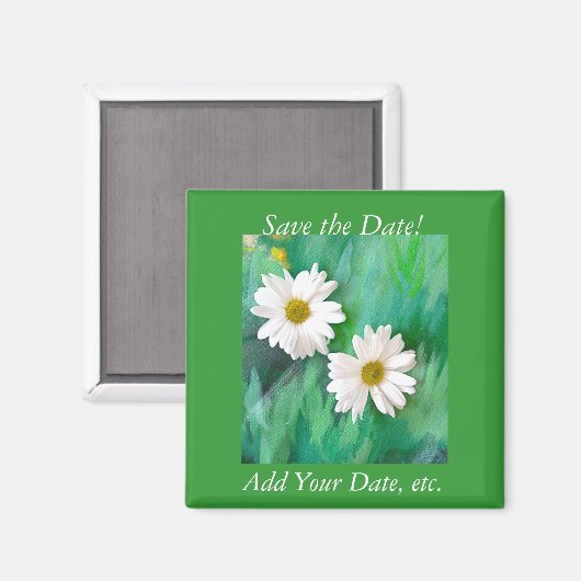 Zwei White Daisies Square Magnet (Vorderseite/Rückseite)