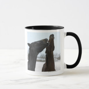 zwei wiehernde Pferde Tasse