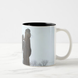 zwei wiehernde Pferde Zweifarbige Tasse