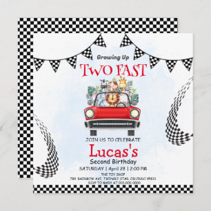 Zwei Wilddschungelwale Race 2. Geburtstag Party