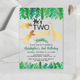 Zwei wilde Dinosaurier Boys 2. Geburtstag Acryleinladungen