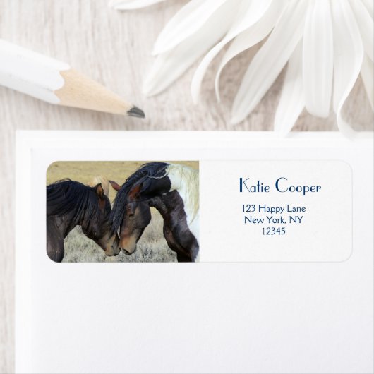 Zwei Wildpferde (Insitu)