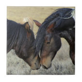 Zwei Wildpferde Fliese (Vorderseite)