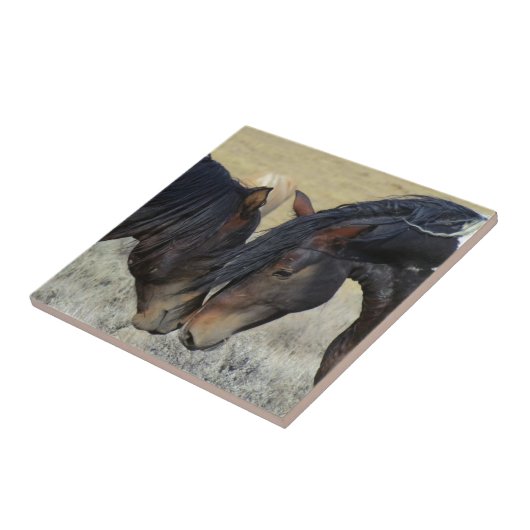 Zwei Wildpferde Fliese (Seite)