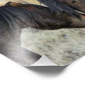 Zwei Wildpferde Fotodruck (Ecke)