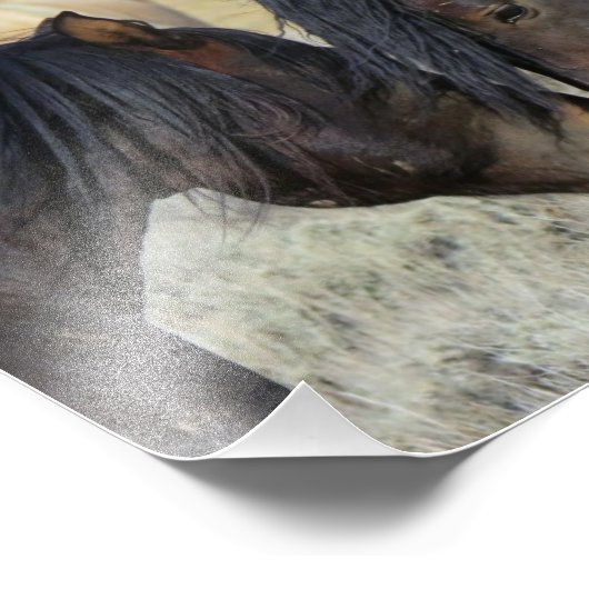Zwei Wildpferde Fotodruck (Ecke)