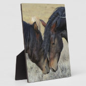 Zwei Wildpferde Fotoplatte (Seite)