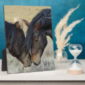 Zwei Wildpferde Fotoplatte (Seite)