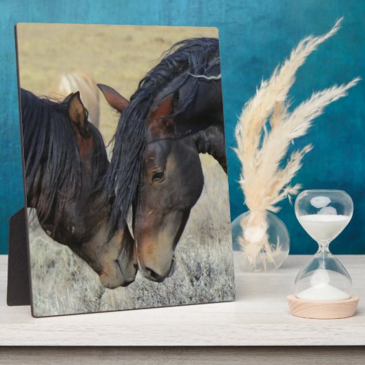 Zwei Wildpferde Fotoplatte (Seite)