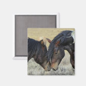 Zwei Wildpferde Magnet (Vorderseite/Rückseite)