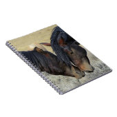 Zwei Wildpferde Notizblock (Rechte Seite)