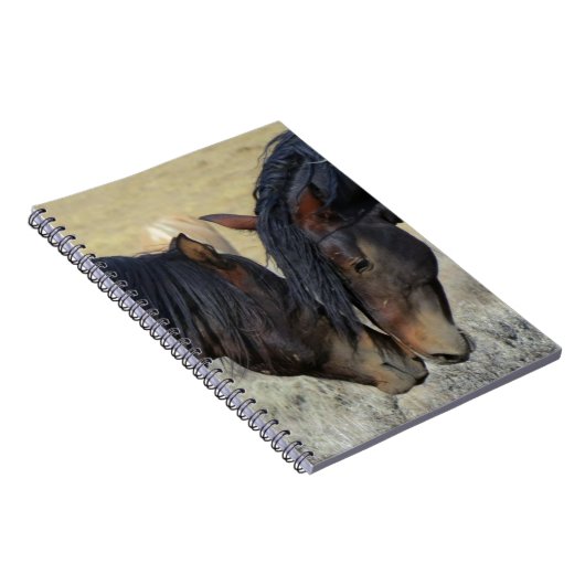 Zwei Wildpferde Notizblock (Rechte Seite)