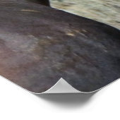 Zwei Wildpferde Poster (Ecke)