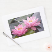 Zwei wildrosa Wasserlilien in einem Teich Rechteckiger Aufkleber (Umschlag)