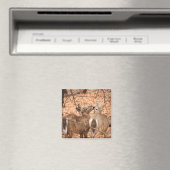 Zwei Wildschweine im Wald Magnet (In Situ (Geschirrspüler))