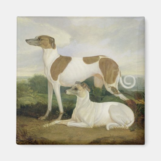 Zwei Windhunde in einer Landschaft (Öl auf Leinwan Magnet (Vorne)