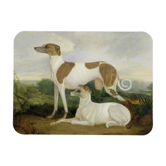 Zwei Windhunde in einer Landschaft (Öl auf Leinwan Magnet (Horizontal)